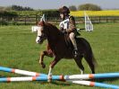 Image 11 in BECCLES AND BUNGAY RIDING CLUB. 6 MAY 2018