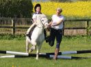 Image 13 in BECCLES AND BUNGAY RIDING CLUB. 6 MAY 2018