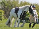 Image 166 in BECCLES AND BUNGAY RIDING CLUB. 6 MAY 2018