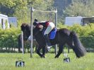 Image 176 in BECCLES AND BUNGAY RIDING CLUB. 6 MAY 2018