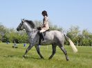 Image 191 in BECCLES AND BUNGAY RIDING CLUB. 6 MAY 2018