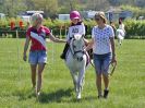 Image 202 in BECCLES AND BUNGAY RIDING CLUB. 6 MAY 2018