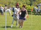 Image 207 in BECCLES AND BUNGAY RIDING CLUB. 6 MAY 2018