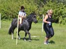Image 224 in BECCLES AND BUNGAY RIDING CLUB. 6 MAY 2018