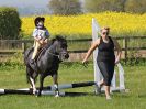 Image 23 in BECCLES AND BUNGAY RIDING CLUB. 6 MAY 2018