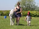Image 231 in BECCLES AND BUNGAY RIDING CLUB. 6 MAY 2018
