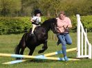 Image 3 in BECCLES AND BUNGAY RIDING CLUB. 6 MAY 2018