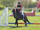 Image 32 in BECCLES AND BUNGAY RIDING CLUB. 6 MAY 2018