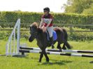 Image 37 in BECCLES AND BUNGAY RIDING CLUB. 6 MAY 2018