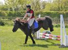 Image 38 in BECCLES AND BUNGAY RIDING CLUB. 6 MAY 2018
