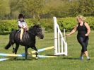 Image 7 in BECCLES AND BUNGAY RIDING CLUB. 6 MAY 2018