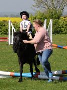 Image 9 in BECCLES AND BUNGAY RIDING CLUB. 6 MAY 2018