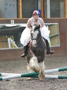 Image 11 in WORLD HORSE WELFARE. ROYAL WEDDING SHOW JUMPING. 19 MAY 2018