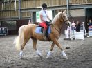 Image 119 in WORLD HORSE WELFARE. ROYAL WEDDING SHOW JUMPING. 19 MAY 2018