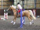 Image 128 in WORLD HORSE WELFARE. ROYAL WEDDING SHOW JUMPING. 19 MAY 2018