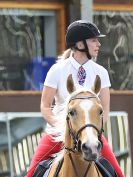 Image 131 in WORLD HORSE WELFARE. ROYAL WEDDING SHOW JUMPING. 19 MAY 2018