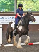 Image 16 in WORLD HORSE WELFARE. ROYAL WEDDING SHOW JUMPING. 19 MAY 2018