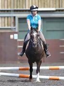 Image 181 in WORLD HORSE WELFARE. ROYAL WEDDING SHOW JUMPING. 19 MAY 2018