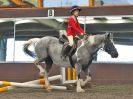 Image 56 in WORLD HORSE WELFARE. ROYAL WEDDING SHOW JUMPING. 19 MAY 2018