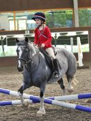 Image 61 in WORLD HORSE WELFARE. ROYAL WEDDING SHOW JUMPING. 19 MAY 2018