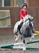 Image 63 in WORLD HORSE WELFARE. ROYAL WEDDING SHOW JUMPING. 19 MAY 2018