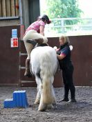 Image 82 in WORLD HORSE WELFARE. ROYAL WEDDING SHOW JUMPING. 19 MAY 2018