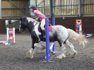 Image 84 in WORLD HORSE WELFARE. ROYAL WEDDING SHOW JUMPING. 19 MAY 2018