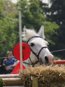 Image 137 in BECCLES AND BUNGAY RC. EVENTER CHALLENGE. 27 MAY 2018