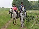 Image 40 in IPSWICH HORSE SOCIETY SPRING RIDE. 3 JUNE 2018