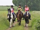 Image 45 in IPSWICH HORSE SOCIETY SPRING RIDE. 3 JUNE 2018