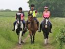 Image 47 in IPSWICH HORSE SOCIETY SPRING RIDE. 3 JUNE 2018