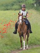 Image 77 in IPSWICH HORSE SOCIETY SPRING RIDE. 3 JUNE 2018