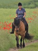 Image 81 in IPSWICH HORSE SOCIETY SPRING RIDE. 3 JUNE 2018