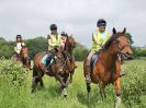 Image 84 in IPSWICH HORSE SOCIETY SPRING RIDE. 3 JUNE 2018