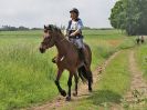 Image 88 in IPSWICH HORSE SOCIETY SPRING RIDE. 3 JUNE 2018