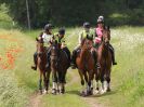 Image 9 in IPSWICH HORSE SOCIETY SPRING RIDE. 3 JUNE 2018