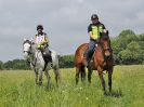 Image 97 in IPSWICH HORSE SOCIETY SPRING RIDE. 3 JUNE 2018