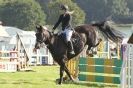 Image 10 in  AYLSHAM  SHOW  JUMPING  27  AUG  2012.                                                                    