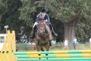 Image 126 in  AYLSHAM  SHOW  JUMPING  27  AUG  2012.                                                                    