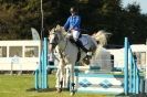 Image 16 in  AYLSHAM  SHOW  JUMPING  27  AUG  2012.                                                                    