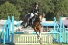 Image 2 in  AYLSHAM  SHOW  JUMPING  27  AUG  2012.                                                                    