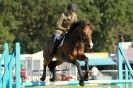 Image 26 in  AYLSHAM  SHOW  JUMPING  27  AUG  2012.                                                                    