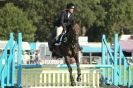 Image 27 in  AYLSHAM  SHOW  JUMPING  27  AUG  2012.                                                                    