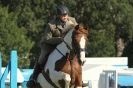 Image 30 in  AYLSHAM  SHOW  JUMPING  27  AUG  2012.                                                                    