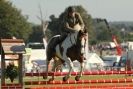 Image 32 in  AYLSHAM  SHOW  JUMPING  27  AUG  2012.                                                                    