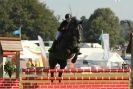 Image 34 in  AYLSHAM  SHOW  JUMPING  27  AUG  2012.                                                                    