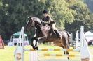 Image 36 in  AYLSHAM  SHOW  JUMPING  27  AUG  2012.                                                                    