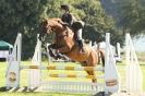 Image 38 in  AYLSHAM  SHOW  JUMPING  27  AUG  2012.                                                                    