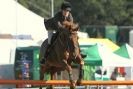 Image 39 in  AYLSHAM  SHOW  JUMPING  27  AUG  2012.                                                                    