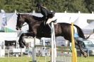 Image 42 in  AYLSHAM  SHOW  JUMPING  27  AUG  2012.                                                                    